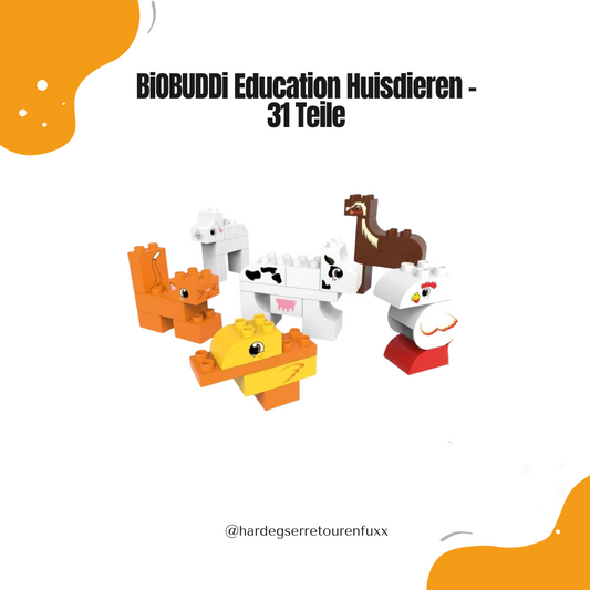 BiOBUDDi Education Huisdieren BB-6010 – 31 Nachhaltige Zuckerrohr-Bausteine, Haustiere Lernset mit Lernkarten, Umweltfreundlich für Kinder 1,5-6 Jahre